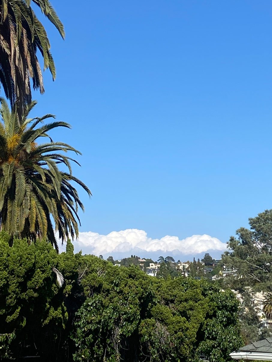 A landscape showing palm trees, blue sky, and clouds