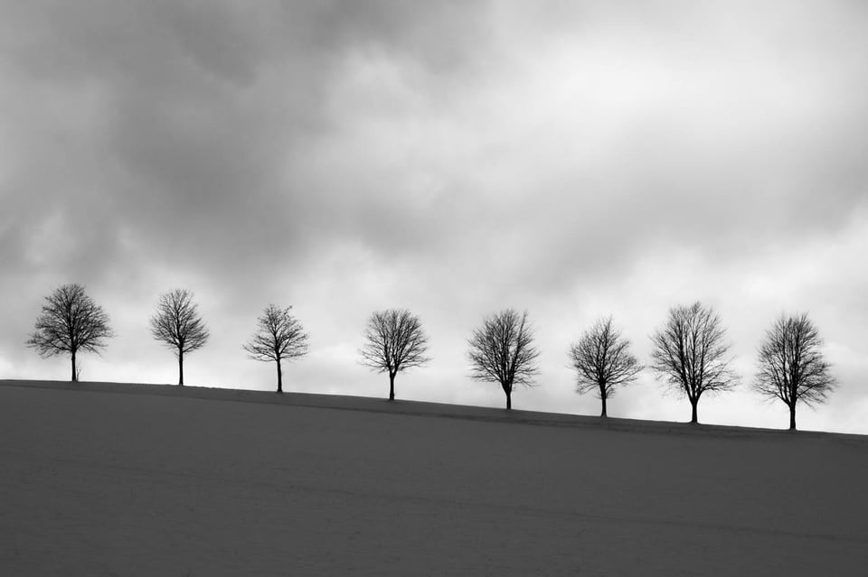 Обвчные менеджеры, которых не отличить друг от друга