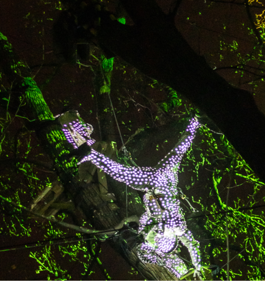 Sky's Vic Park Newsletter #13: Climate action on the agenda and September decisions