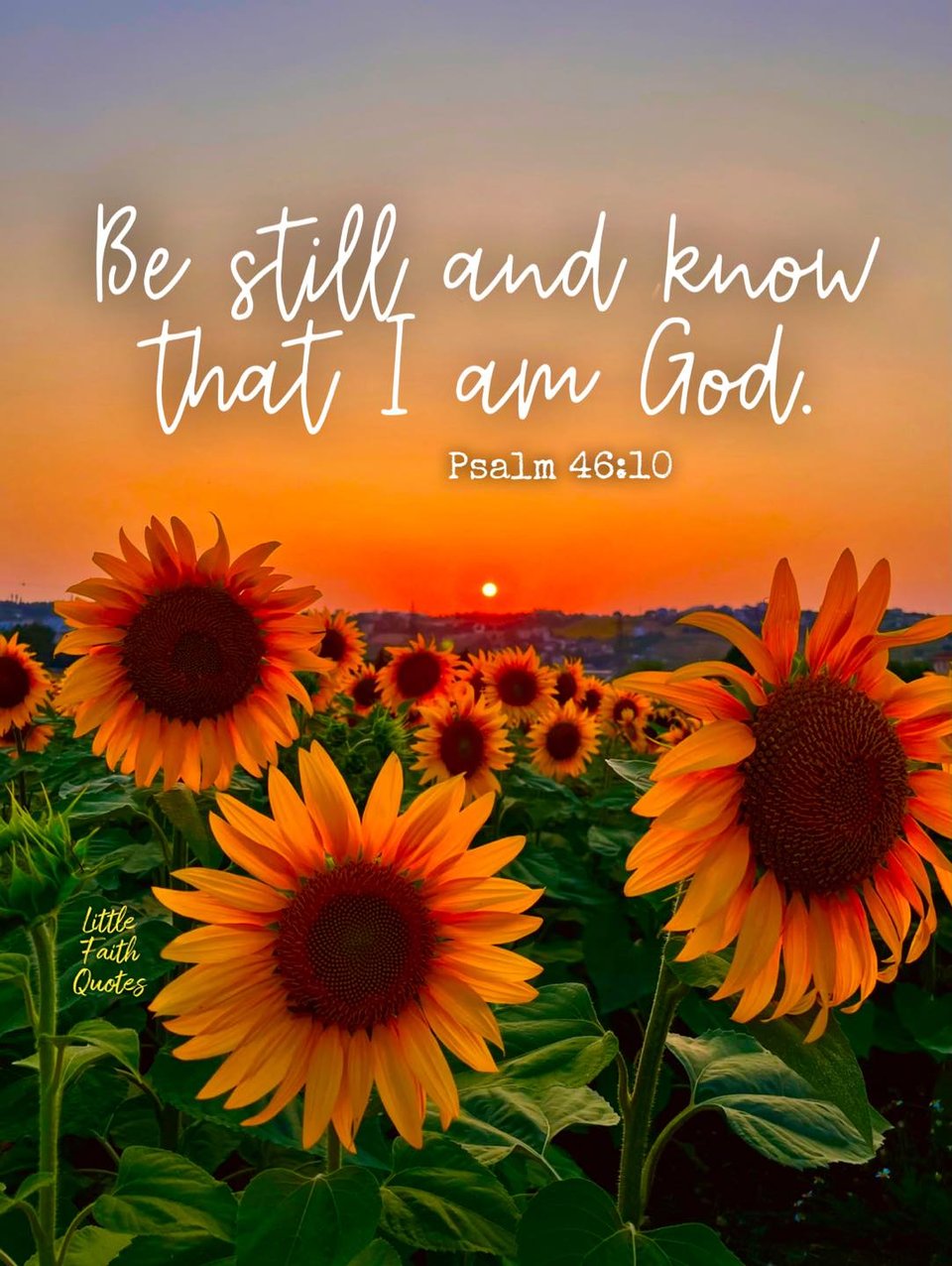 “Be still, and know that I am God; I will be exalted among the nations, I will be exalted in the earth.” ~Psalm 46:10. Image by: @Little Faith Quotes.