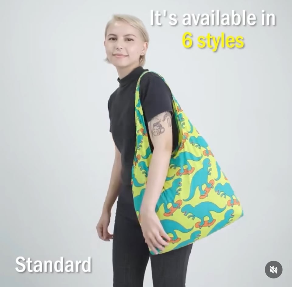photo of a woman with a reusable shopping bag slung over her shoulder, superimposed text reads "Standard" and "It's available in 6 styles"