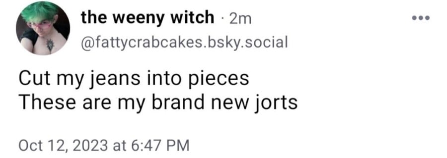 cut my jeans into pieces / these are my brand new jorts