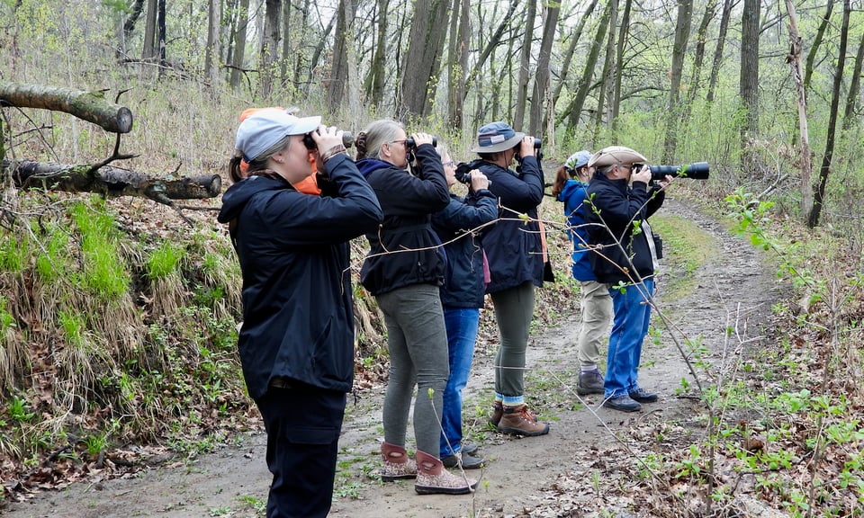 Birders along the trail to the Pine Loop Trail during a Frontenac State Park Association-sponsored bird walk. / Photo by Steve Dietz