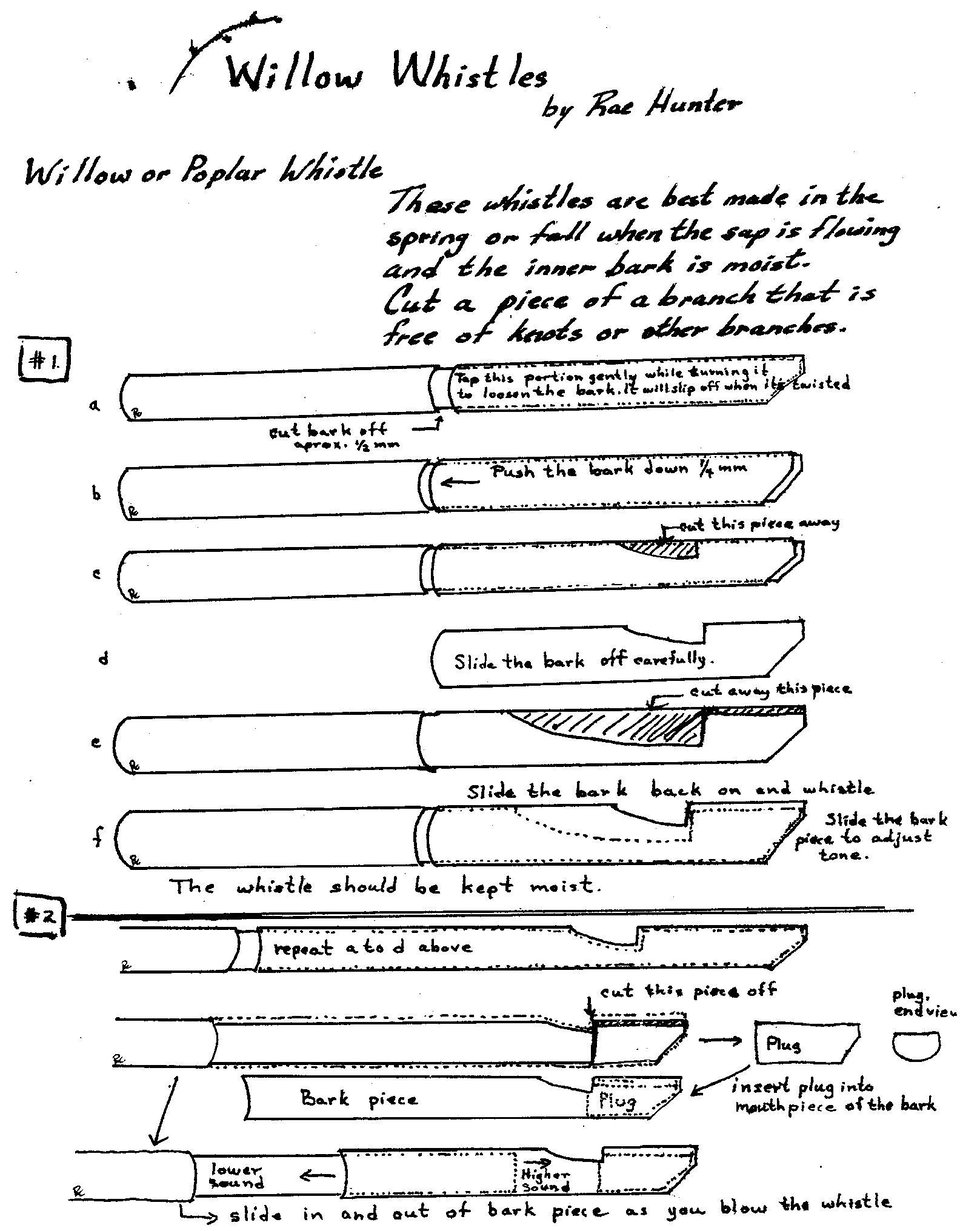 Rae Hunter- willow Whistles.jpg