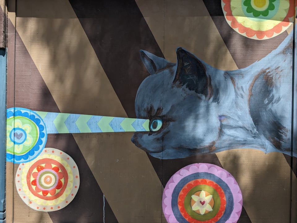 Detail of street art showing a blue/grey cat in front of diagonal brown and tan lines, with mandala-like circles around the cat with flowers at the center of each circle. The cat's eye is shooting a laser beam with < < < signs in the middle
