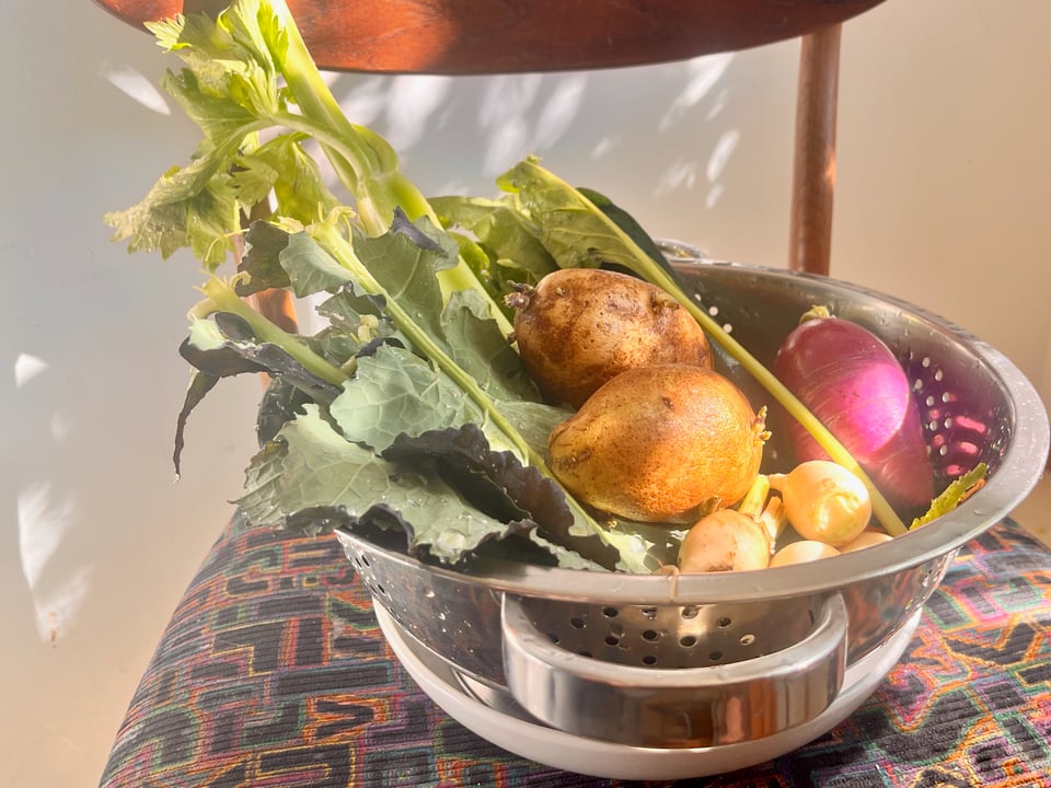 a colander of vegetables in glorious light