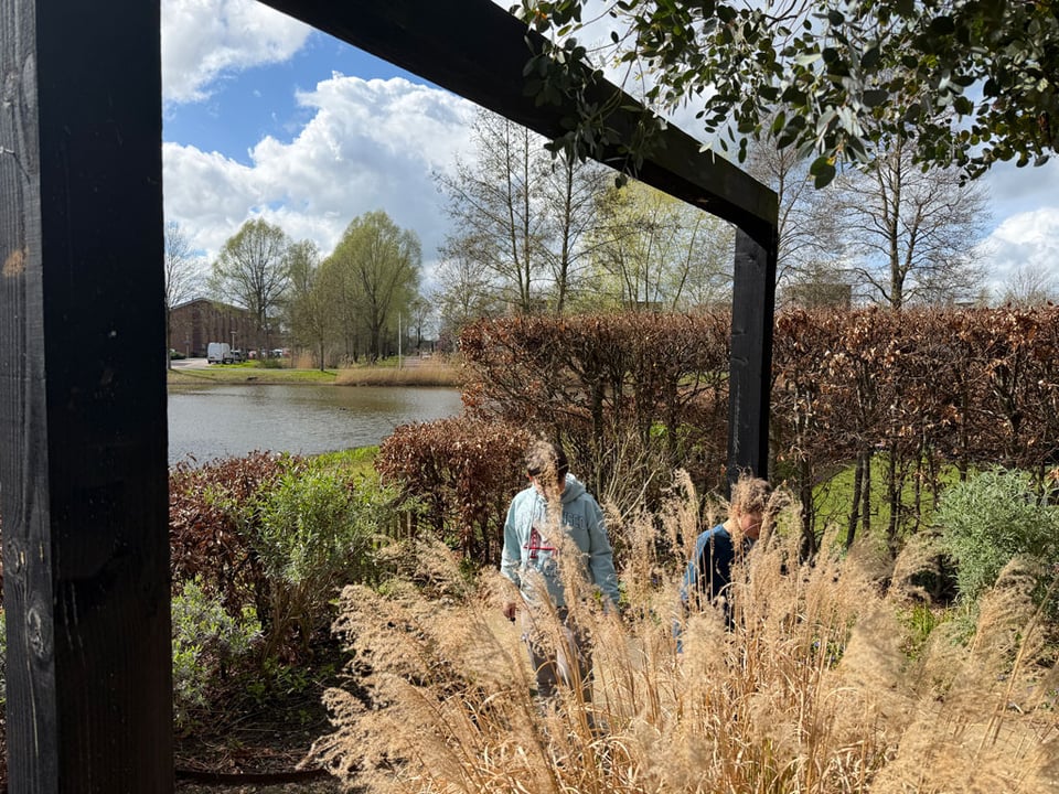 Two boys hunt for Easter Eggs in a garden. Their bodies are mostly hidden by reed fronds in the garden.