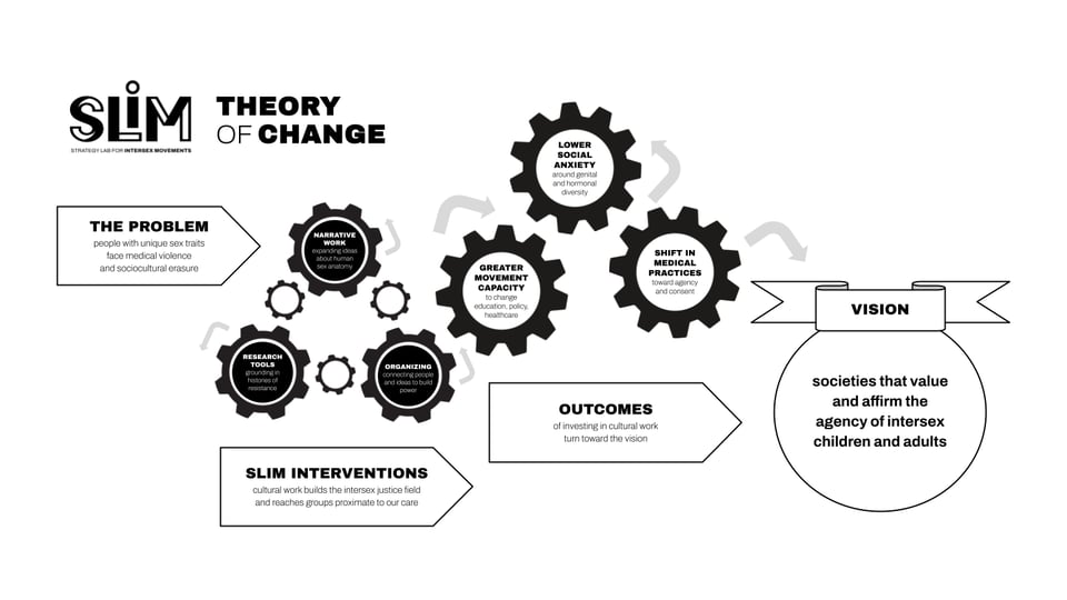 Preview of SLIM’s Theory of Change diagram