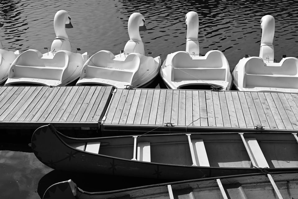 Novelty boats docked
