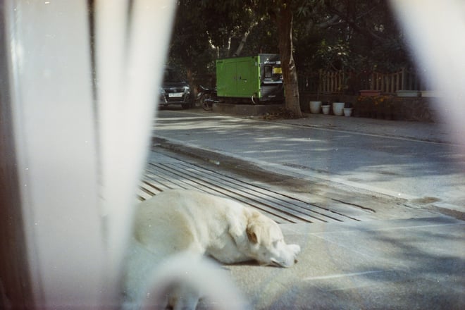 Pro Scans 55616 Large.jpeg