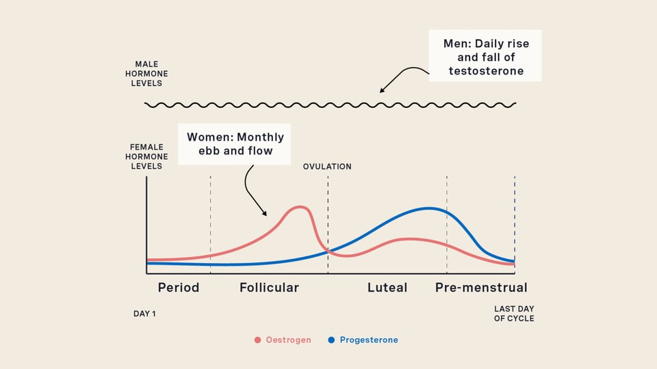 Women Are Not Linear