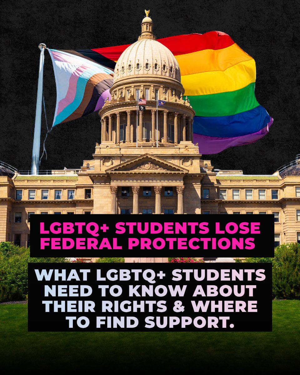 Your Title IX update, some trans joy, and 5,000 free items 💜