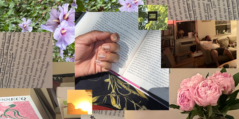 Collage of various images including flowers, a sunset, books, a picture on a window, underlined text from a book.