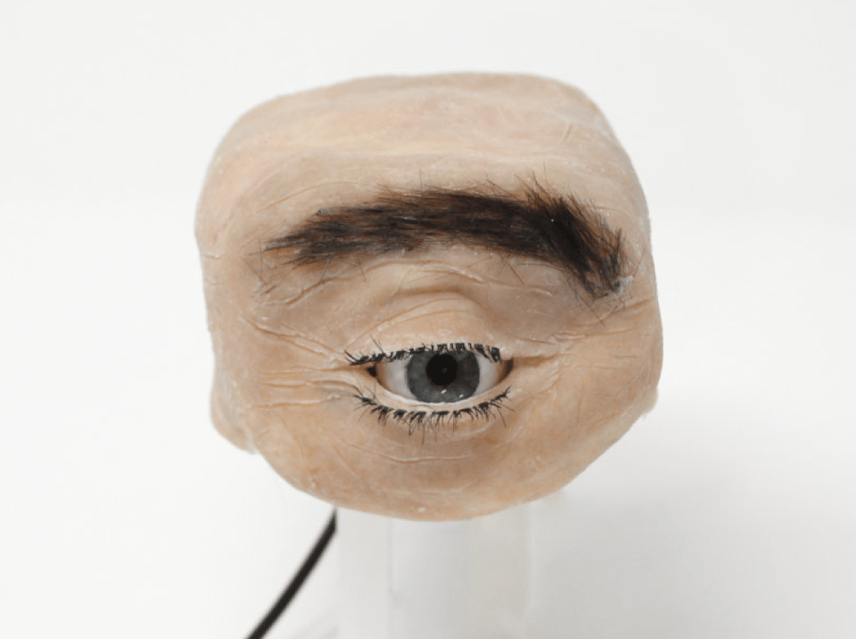 A plasticine eye - complete with eyelashes, an eyebrow, and part of a forehead - gazes out from a small plastic column where it sits. A black cord is seen in the background extending from the back of the device.