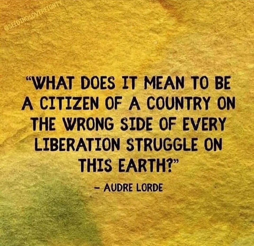 The Audre Lorde quote, "What does it mean to be a citizen of a country on the wrong side of every liberation struggle on this earth?"