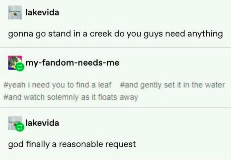 Tumblr screenshot.

lakevida: gonna go stand in a creek do you guys need anything

my-fandom-needs-me: #yeah i need you to find a leaf #and gently set it in the water # and watch solemnly as it floats away

lakevida: god finally a reasonable request