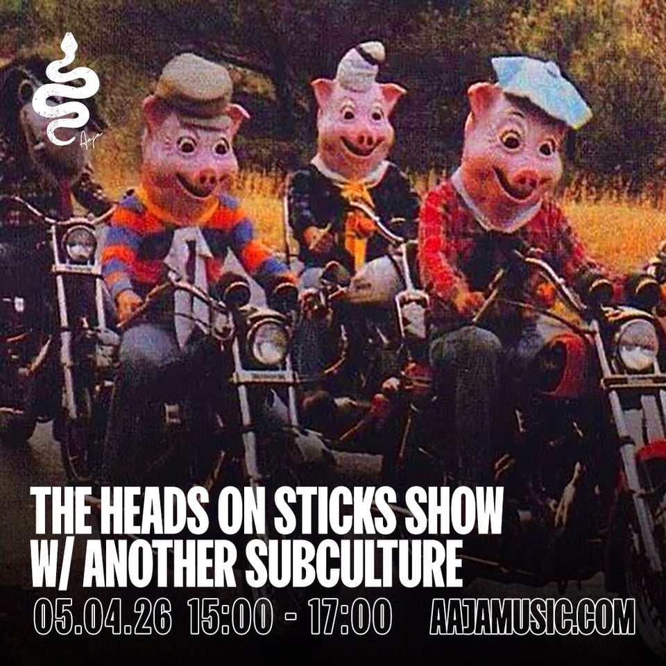 the heads on sticks show v / another subculture