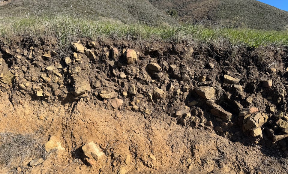 A rocky soil profile in a grassland with dark surface horizon and lighter subsurface. Rocks are distributed throughout the surface.