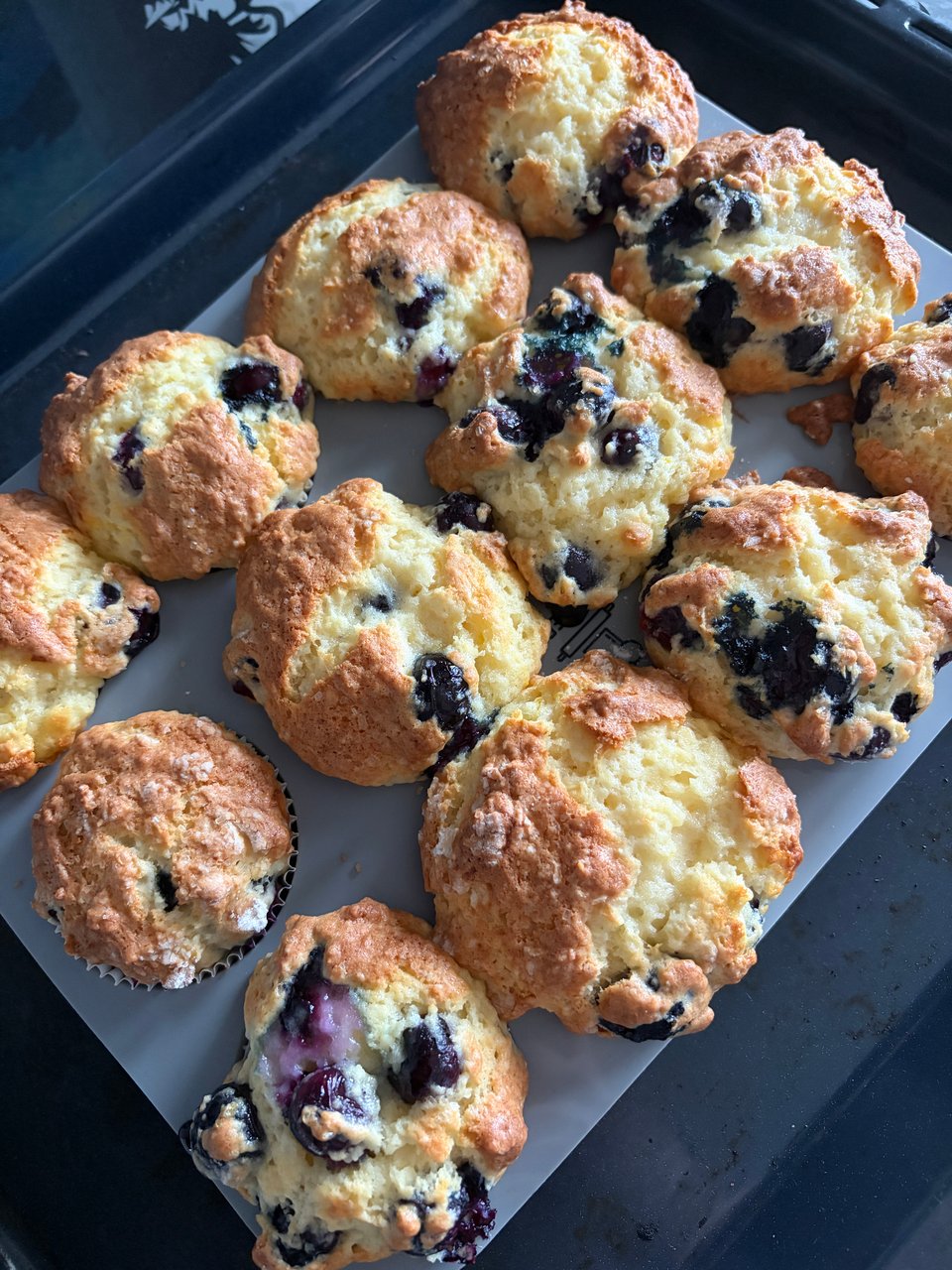 A grey baking sheet with blueberry muffins out of the oven