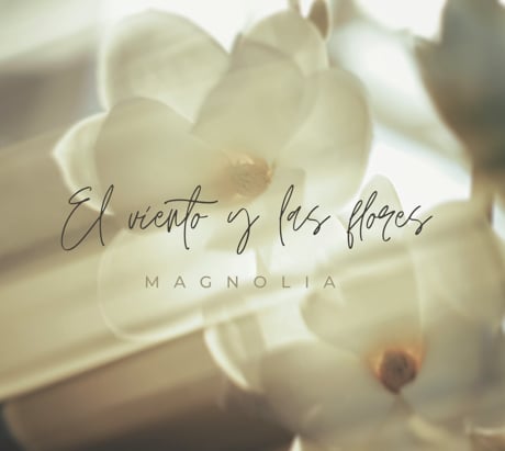 Magnolia: El viento y las flores