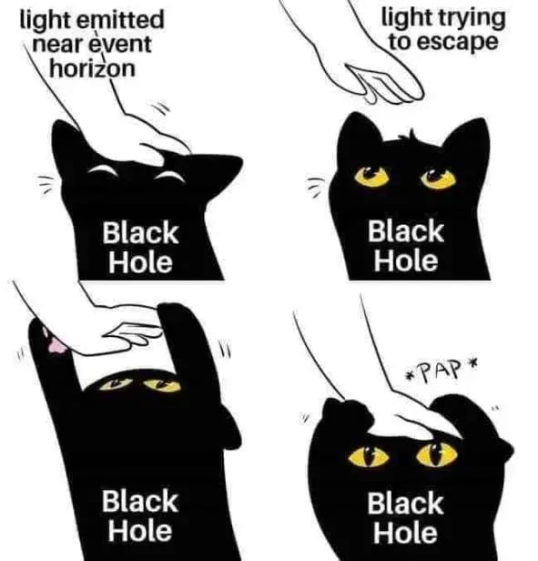 🤪 Wacky Wednesday for 2025-02-05