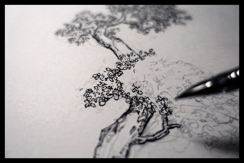 zdjęcie rysunku drzewka bonsai - praca w toku