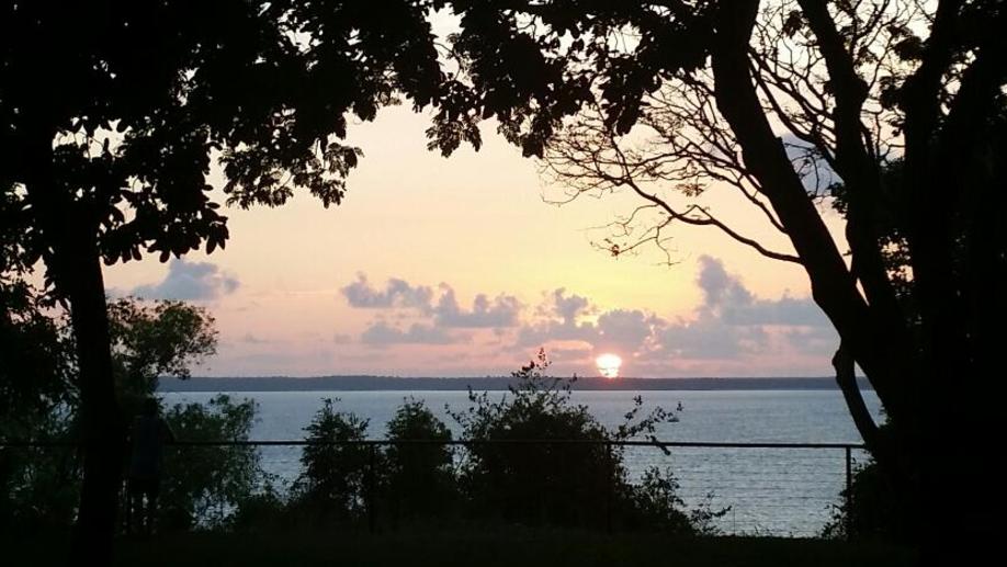 Trees frame the sunset-over-water view in roughly the shape of the country.