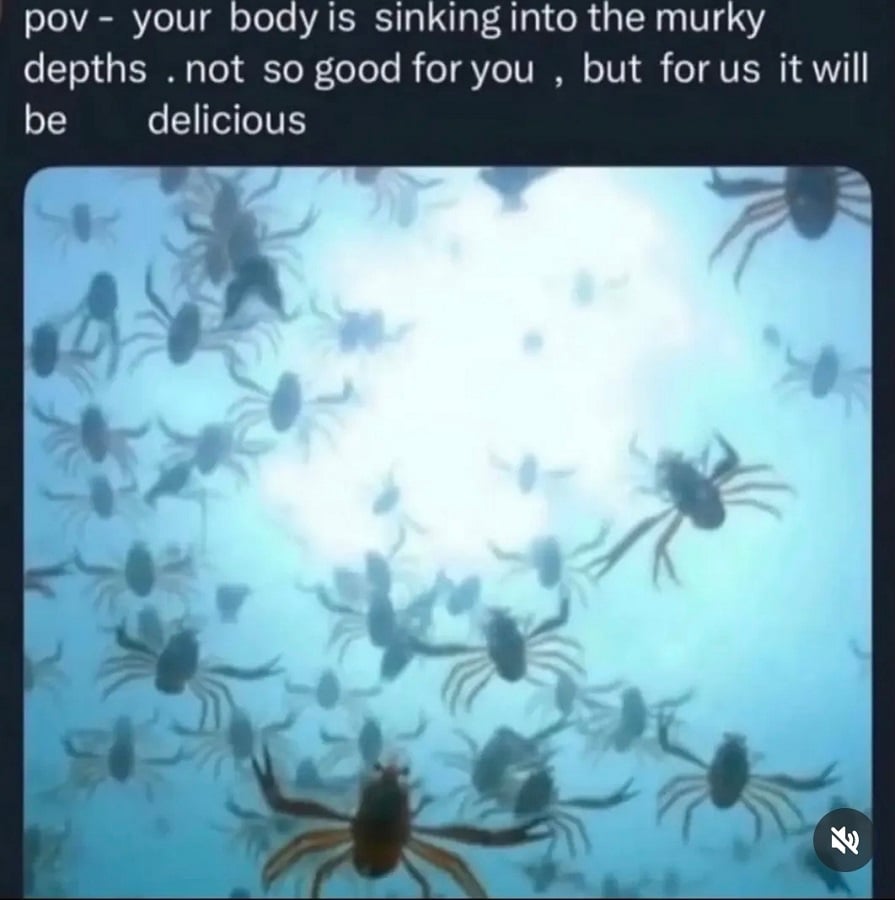 POV shot underwater, looking up to the sunlight filtering through, with dozens of crabs filling the water.
Text reads: pov - your body is inking into the murky depths. not so good for you, but for us it will be delicious