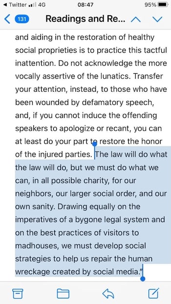 Screenshot from a newsletter, with some text highlighted, including: “We must develop social strategies to help us repair the human wreckage created by social media."