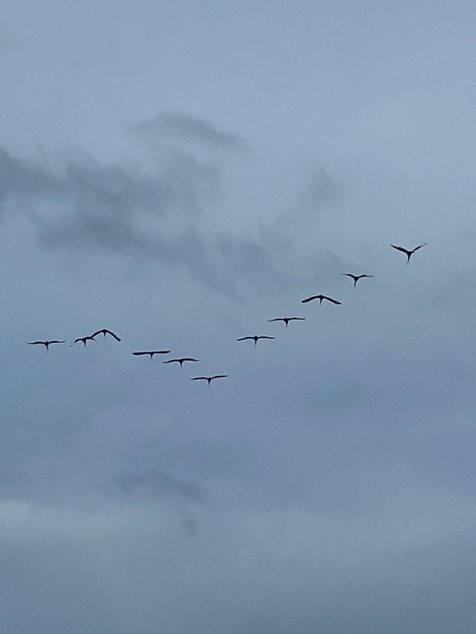 #26: Lighthouses and dark skies - August/September in review