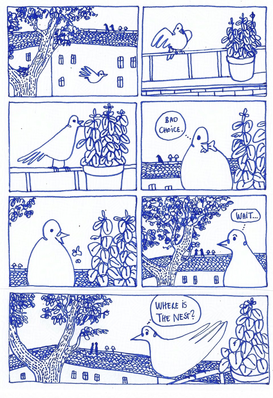 A comic page in blue ink of a pigeon who lands on a balcony, tries a herb, spits it out, then looks back to see their nest is gone. There are crows far away who may have done it.