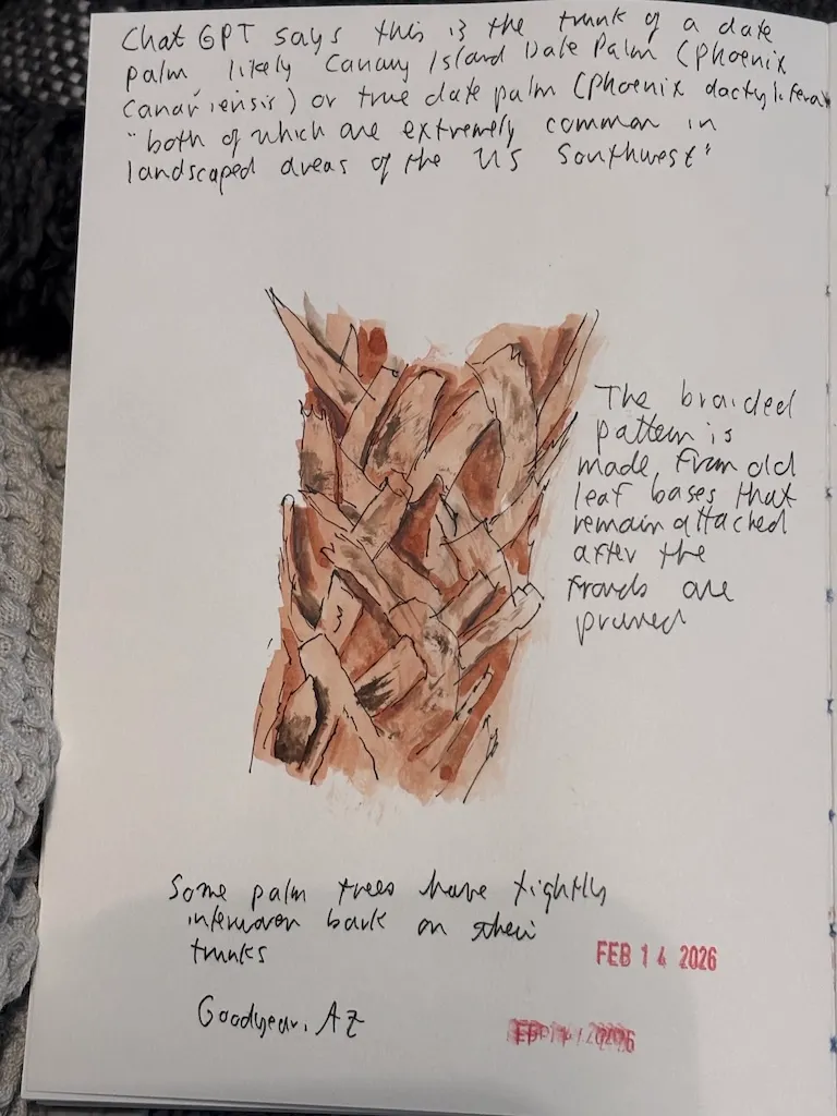 palm tree braided bark