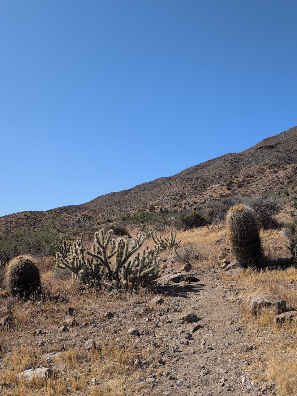 PCT Week One - Campo to Idyllwild