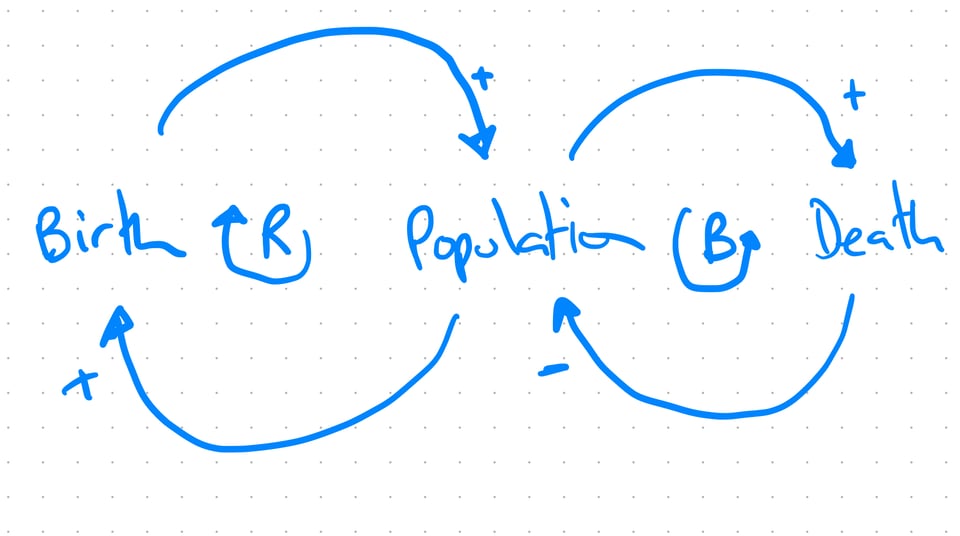 Population - reinforcing loop around the number of births, and balancing loop around the number of deaths.