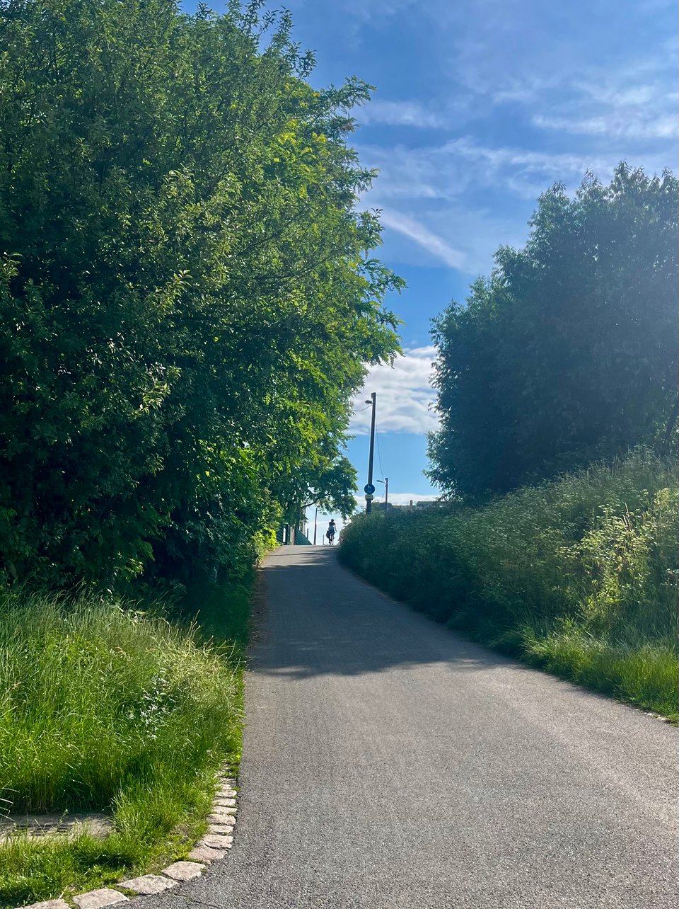 A cycleway with a small figure cycling off into the distance