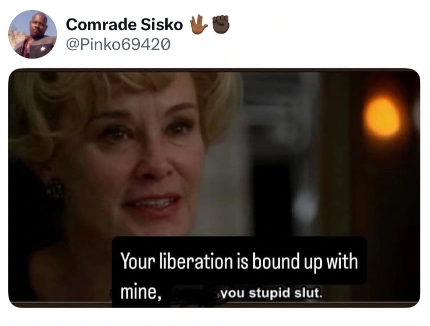 Twitter screenshot of a tweet from @Pinko69420. It shows the meme of an older white lady with blond hair, and the subtitle text has been changed to read: Your liberation is bound up with mine, you stupid slut.