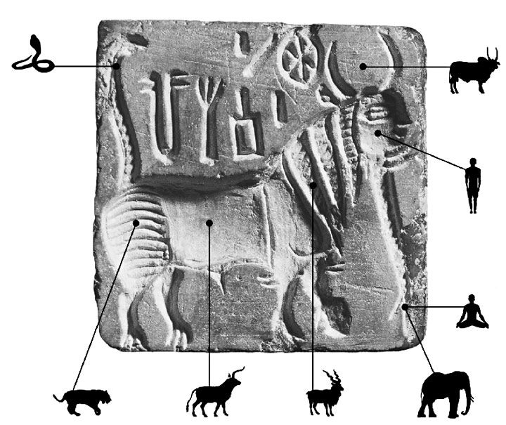 Harappan chimera diagram