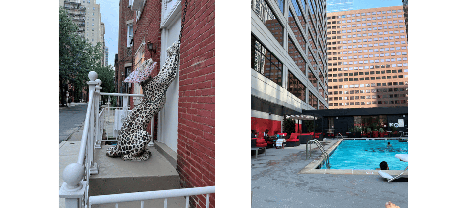 randomness in the neighborhood and my new pool