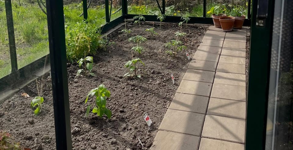 Makkelijke moestuin