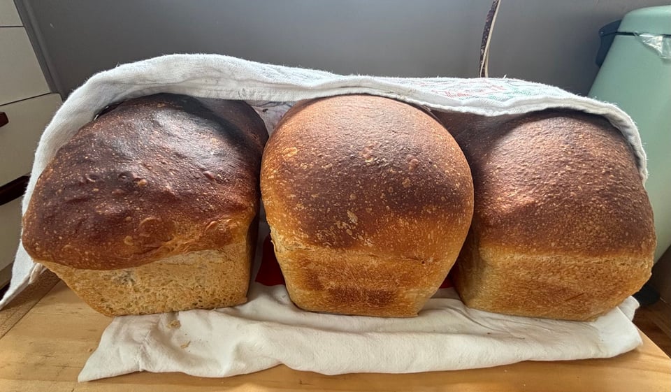 three beautiful loaves of sourdough bread