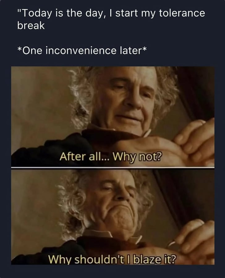 Text at top of image reads: "Today is the day, I start my tolerance break." Next line of text: One inconvenience later. Below is a pair of screenshots from Lord of the Rings, showing Bilbo Baggins looking at the One Ring. "After all... Why not? Why shouldn't I blaze it?"