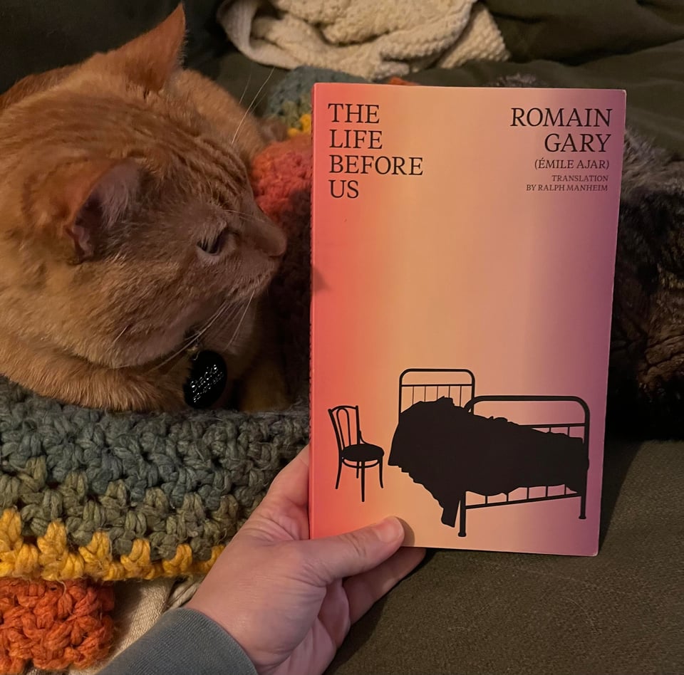 A white person's hand holds a paperback book, while an orange tabby cat sitting on a rainbow crocheted blanket sniffs the book.