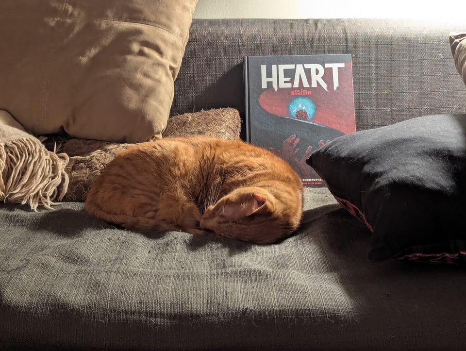 An orange tabby cat curled into a semicircle. A manual for the Heart RPG is propped against the cushion behind him.