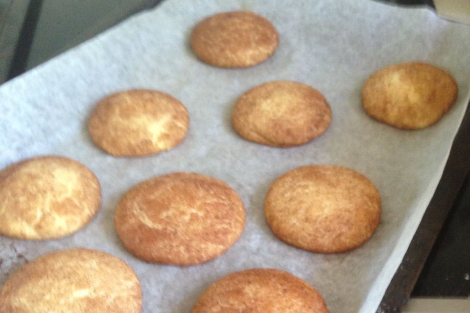 Snickerdoodle.jpg