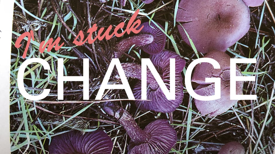 An image of purple mushrooms growing in the ground with text overlaid. Salmon-colored, more florid text reading I’m stuck hangs above large bold white text reading Change.