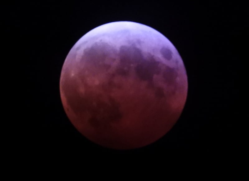 Whoa. You can see why the moon is called a “blood moon” when it slips into the Earth’s shadow (umbra) during a total lunar eclipse. This one, the first since 2022, happened late on March 13, or, more accurately, early on March 14. Our FSPA chair, ever dedicated to the beauty of science, stayed up awfully late to get this eerie shot. The March full moon is also called a “worm moon,” perhaps because it arrives about the same time earthworms and beetle larvae start to emerge. / Photo by Steve Dietz
