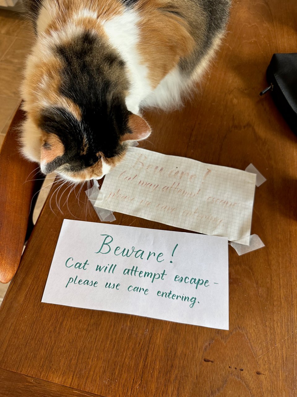 A calico cat looks at a faded and a fresh version of the same brush lettered note. Both notes read (more or less): Beware! Cat will attempt escape - please use care when entering.