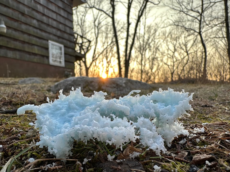 Photo of pale-blue candlewax sculpture that looks REALLY organic, with a house, wooded yard and sunset in the background