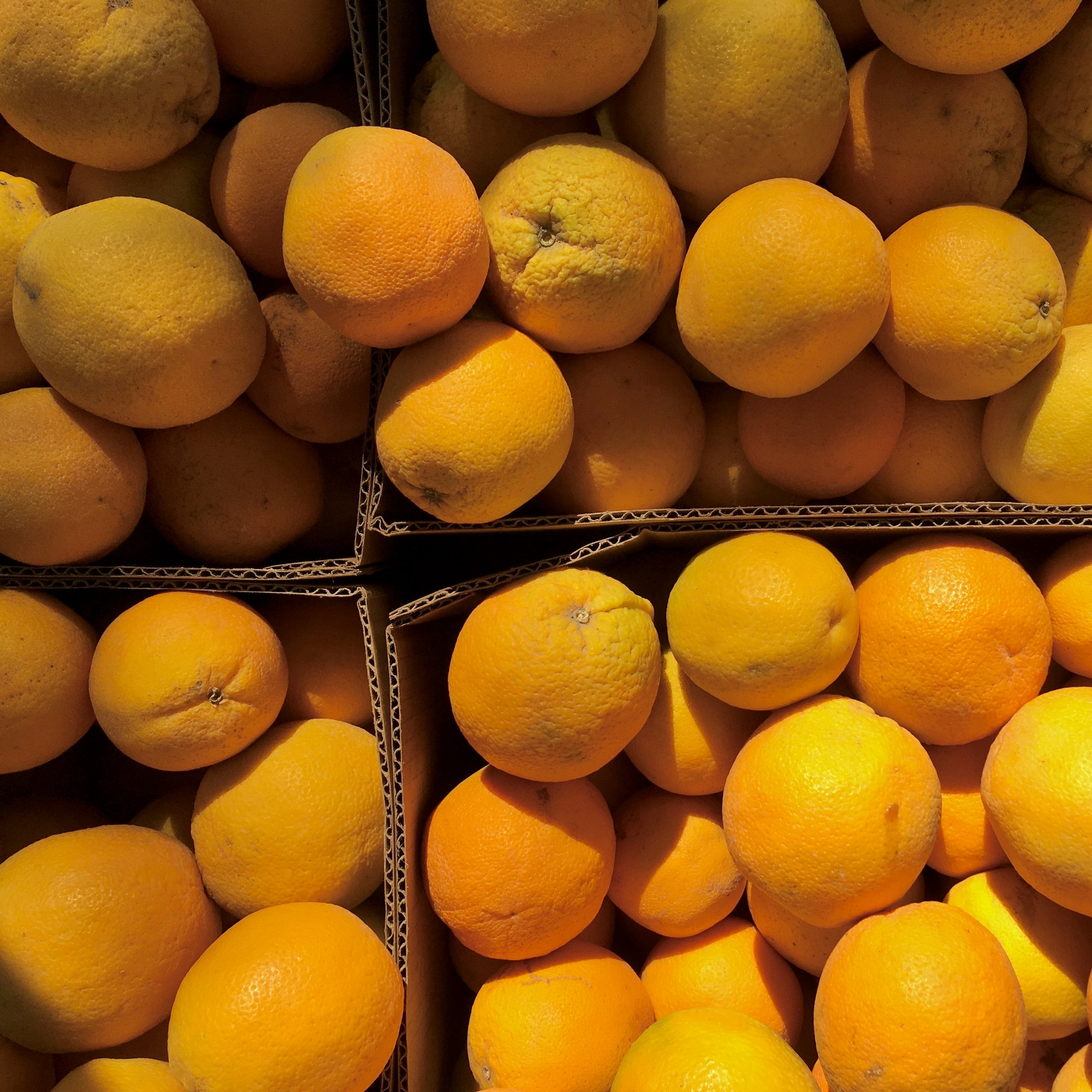 Photo depicts an close-up, overhead shot of oranges in cardboard boxes at an outdoor market.