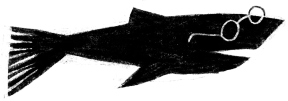 Shark with specacles, about to say something.